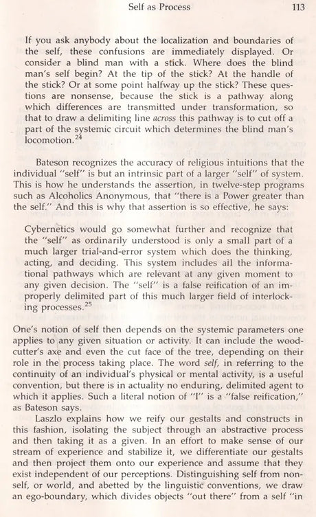 Mutual Causality in Buddhism and General Systems Theory: The Dharma of Natural Systems (SUNY series in Buddhist Studies) - Retail Maharaj