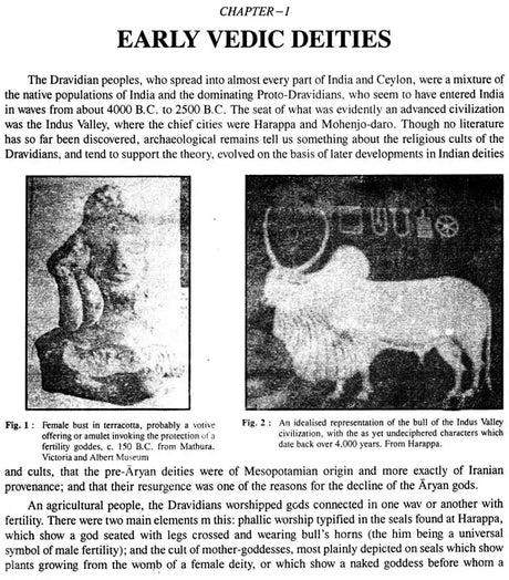 Gods and Goddesses in Indian Art and Literature - Retail Maharaj