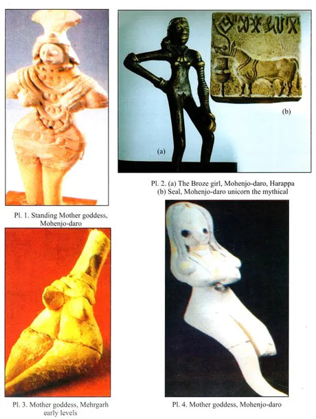 Gods and Goddesses in Indian Art and Literature - Retail Maharaj