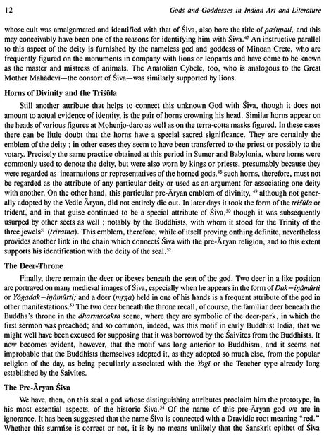 Gods and Goddesses in Indian Art and Literature - Retail Maharaj