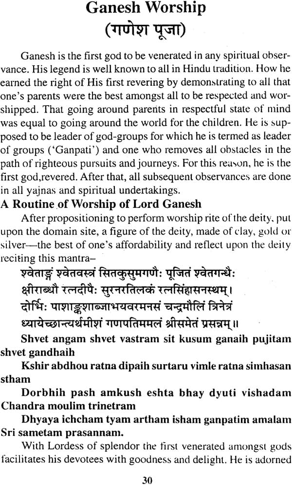 Navagraha Upasana: Shanti Padhati with Transliterated Mantras and English Translation (Sanskrit Text Transliteration with English Translation) - Retail Maharaj