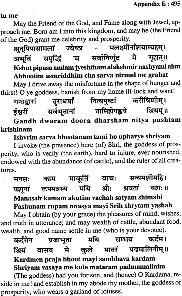 Navagraha Upasana: Shanti Padhati with Transliterated Mantras and English Translation (Sanskrit Text Transliteration with English Translation) - Retail Maharaj