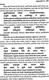 Navagraha Upasana: Shanti Padhati with Transliterated Mantras and English Translation (Sanskrit Text Transliteration with English Translation) - Retail Maharaj