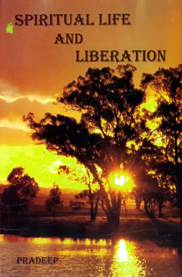 Spiritual Life and Liberation - Retail Maharaj