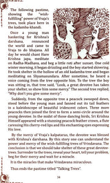 Radha Krishna Pastimes at Radha Kunda - Retail Maharaj