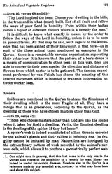 The Bible, The Quran and Science (The Holy Scriptures Examined in the Light of Modern Knowledge) - Retail Maharaj