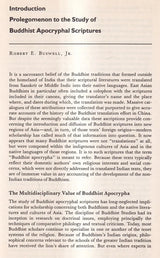 Chinese Buddhist Apocrypha - Retail Maharaj