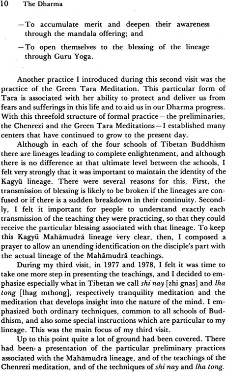 The Dharma, The: That Illuminates All Beings Impartially Like the Sun and the Moon - Retail Maharaj