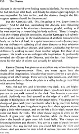 The Dharma, The: That Illuminates All Beings Impartially Like the Sun and the Moon - Retail Maharaj