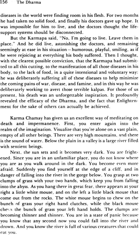 The Dharma, The: That Illuminates All Beings Impartially Like the Sun and the Moon - Retail Maharaj