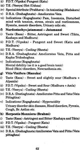 Complementary Medicine - Retail Maharaj