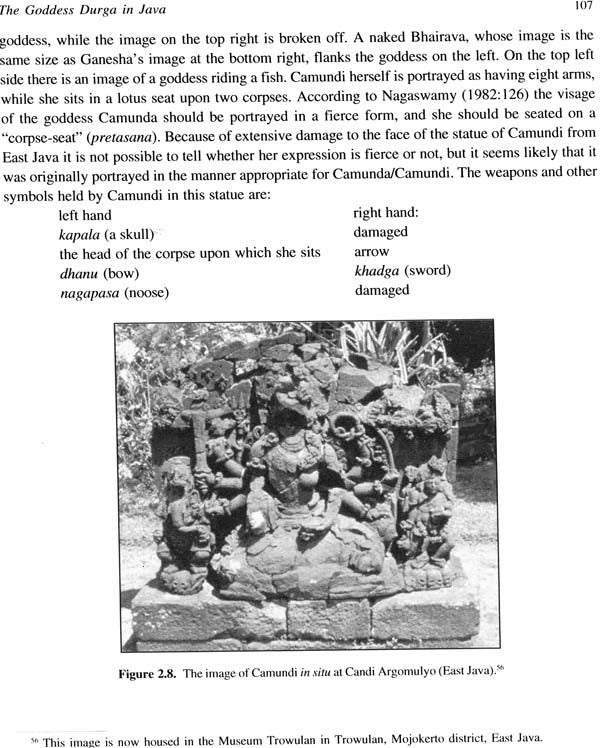 The Journey of The Goddess Durga (India, Java and Bali) - Retail Maharaj