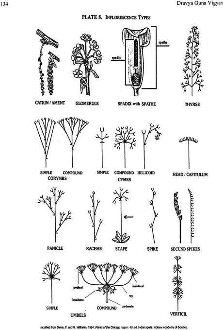 Dravya Guna Vigyan-II with Pharmacology (Comprehensive Study of Essential Medicinal Plants with Pharmacology as per CCIM Syllabus 2013-2014) - Retail Maharaj