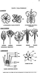Dravya Guna Vigyan-II with Pharmacology (Comprehensive Study of Essential Medicinal Plants with Pharmacology as per CCIM Syllabus 2013-2014) - Retail Maharaj
