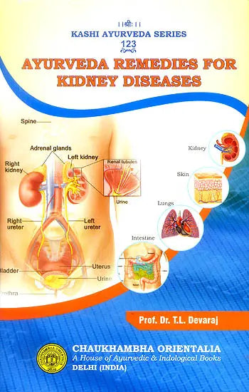 Ayurveda Remedies for Kidney Diseases - Retail Maharaj