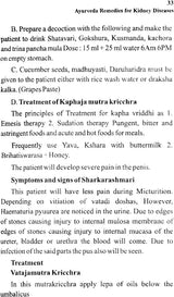 Ayurveda Remedies for Kidney Diseases - Retail Maharaj