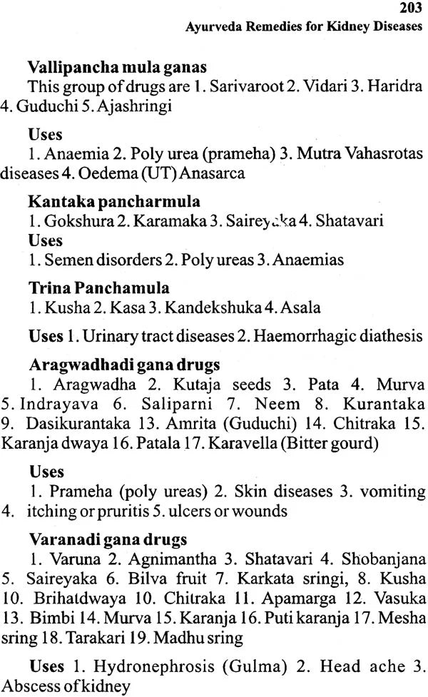 Ayurveda Remedies for Kidney Diseases - Retail Maharaj