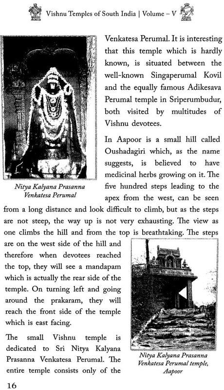 Vishnu Temples of South India (Set of Five Volumes) - Retail Maharaj