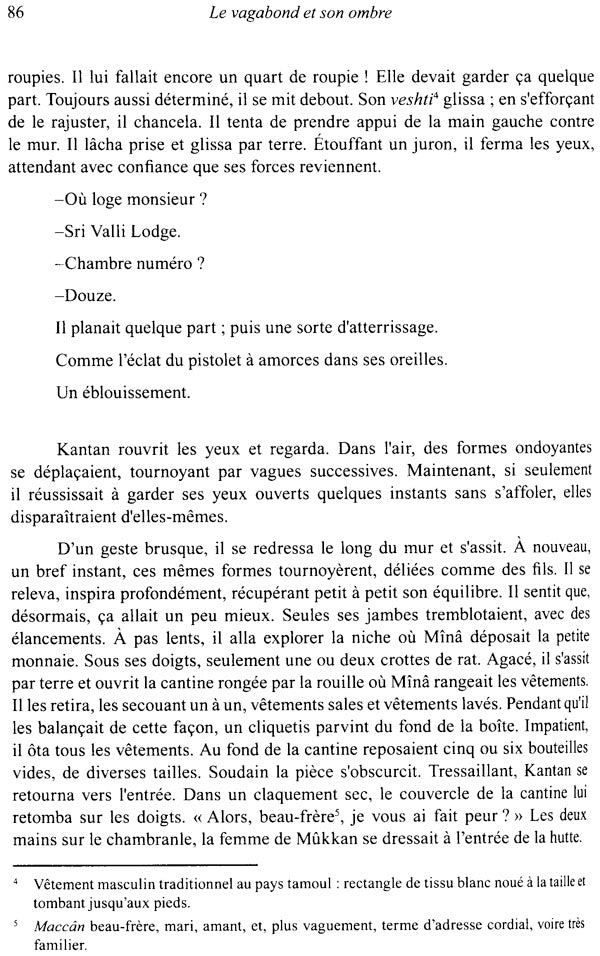 Le Vagabond Et Son Ombre - Retail Maharaj