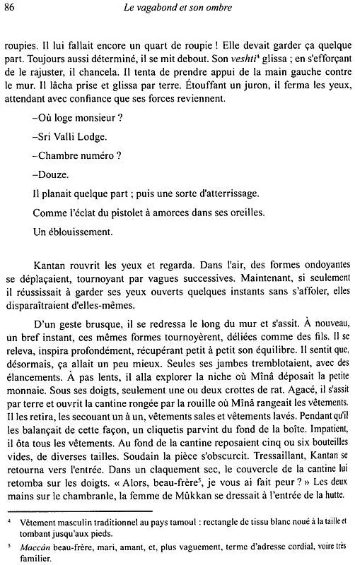 Le Vagabond Et Son Ombre - Retail Maharaj