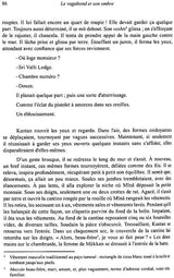 Le Vagabond Et Son Ombre - Retail Maharaj