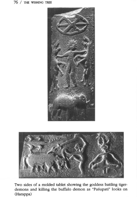 The Wishing Tree (Presence and Promise of India) - Retail Maharaj