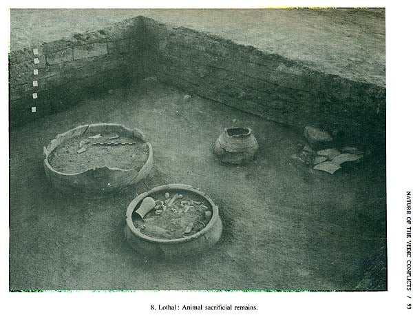 The Vedic Harappans - Retail Maharaj