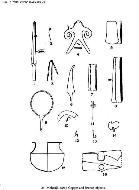 The Vedic Harappans - Retail Maharaj