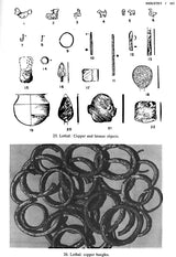 The Vedic Harappans - Retail Maharaj