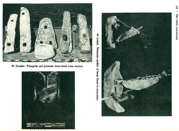 The Vedic Harappans - Retail Maharaj