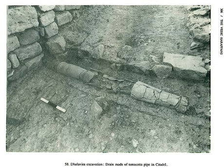 The Vedic Harappans - Retail Maharaj