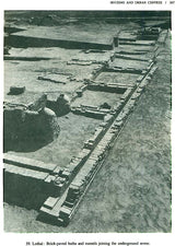 The Vedic Harappans - Retail Maharaj