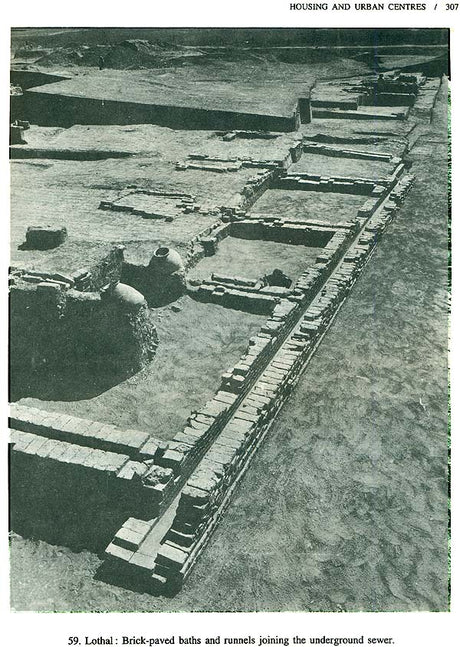 The Vedic Harappans - Retail Maharaj