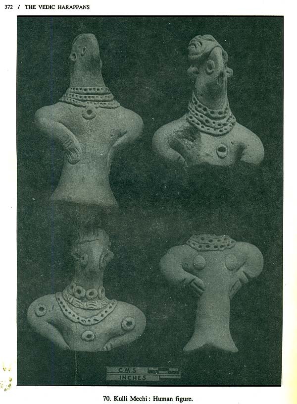 The Vedic Harappans - Retail Maharaj