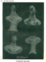 The Vedic Harappans - Retail Maharaj