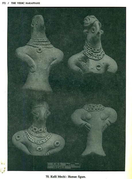 The Vedic Harappans - Retail Maharaj