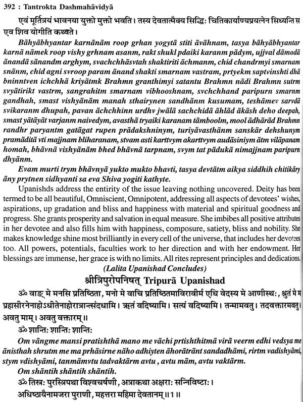 Tantrokta Dashmahavidya (Siddhi Sadhana of Ten Mahavidyas as per Tantras): A Big Book - Retail Maharaj