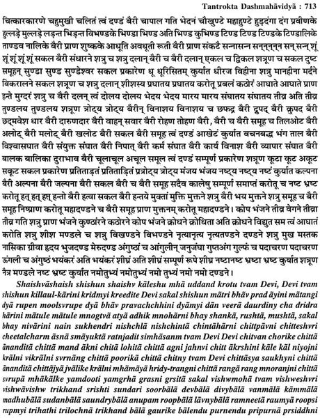 Tantrokta Dashmahavidya (Siddhi Sadhana of Ten Mahavidyas as per Tantras): A Big Book - Retail Maharaj