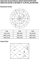 Astrology Related To Diseases And Misfortunes [English] By Deepak Bhardwaj - Retail Maharaj