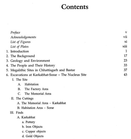 Chhattisgarh Megaliths - Retail Maharaj