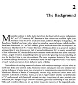 Chhattisgarh Megaliths - Retail Maharaj