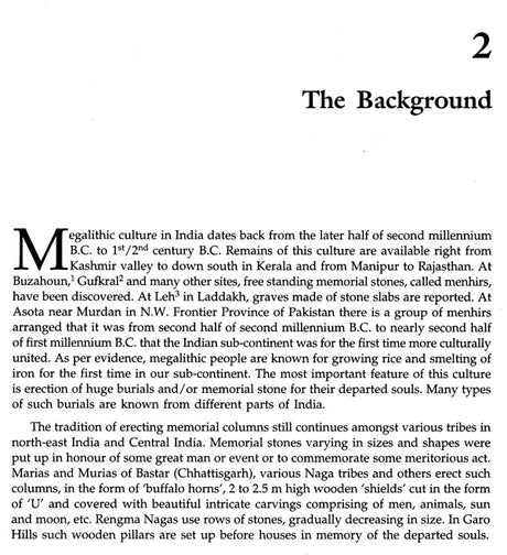 Chhattisgarh Megaliths - Retail Maharaj