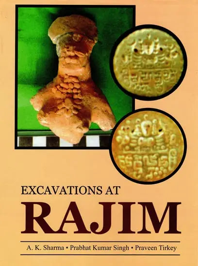 Excavations at Rajim - Retail Maharaj