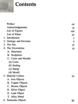 Excavations at Rajim - Retail Maharaj