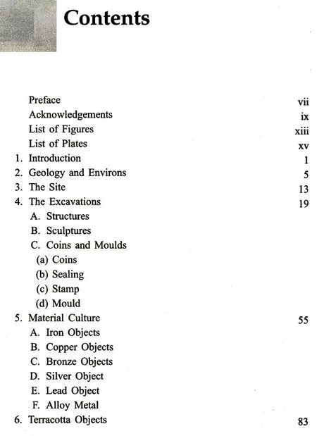 Excavations at Rajim - Retail Maharaj