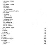 Excavations at Rajim - Retail Maharaj