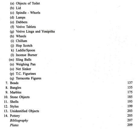 Excavations at Rajim - Retail Maharaj