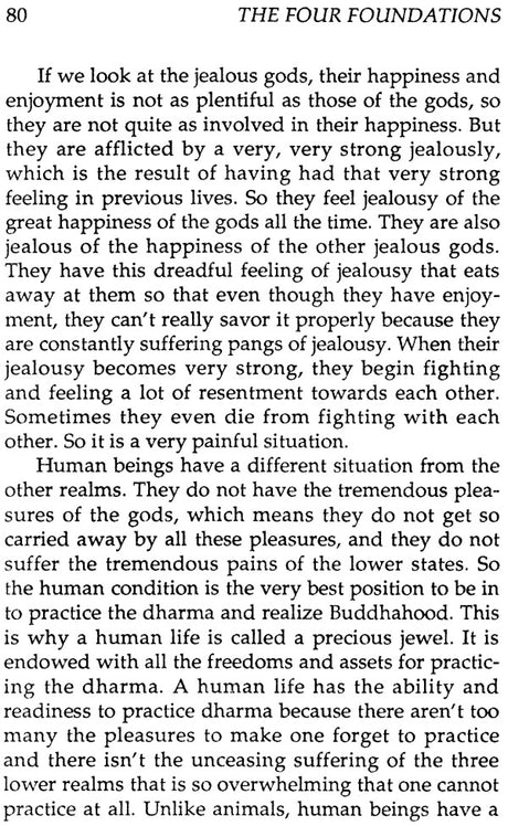 Four Ordinary Foundations of Buddhist Practice - Retail Maharaj