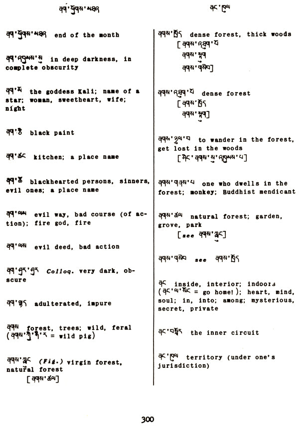 Tibetan-English Dictionary - Retail Maharaj