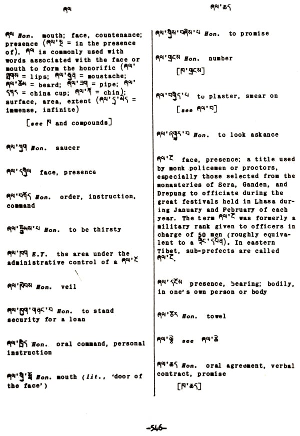 Tibetan-English Dictionary - Retail Maharaj